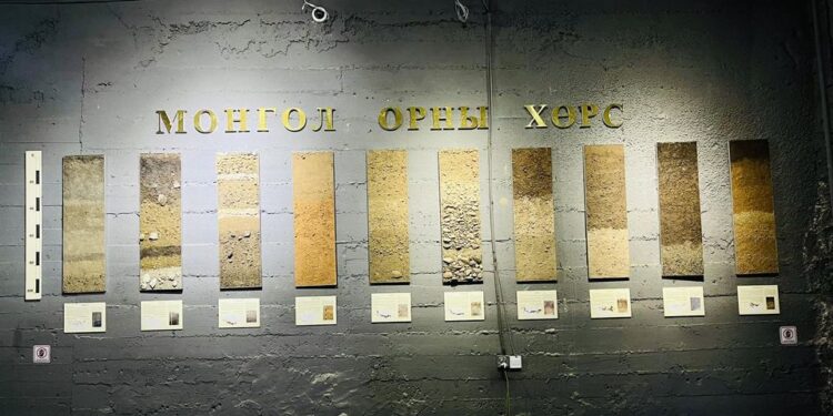 Монгол оронд зонхилон тархсан 10 хэвшинжийн хөрсний монолитыг байгалийн түүхийн музейд байршуулав